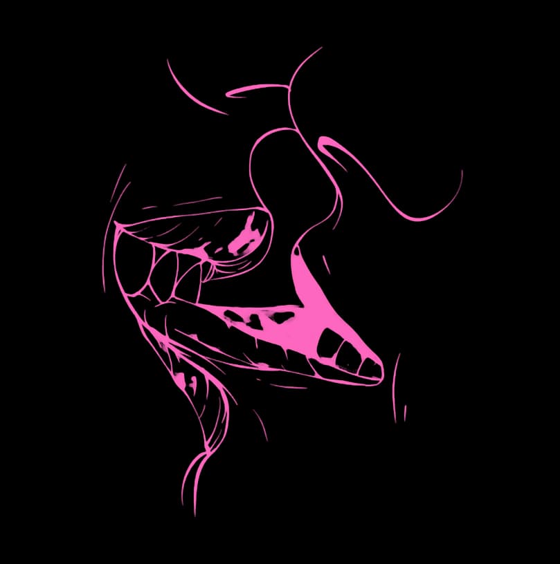 camToCamSexExperience